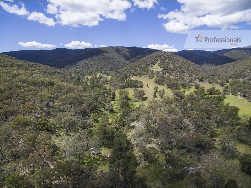 497 Riverlea Road, Mudgee NSW 2850