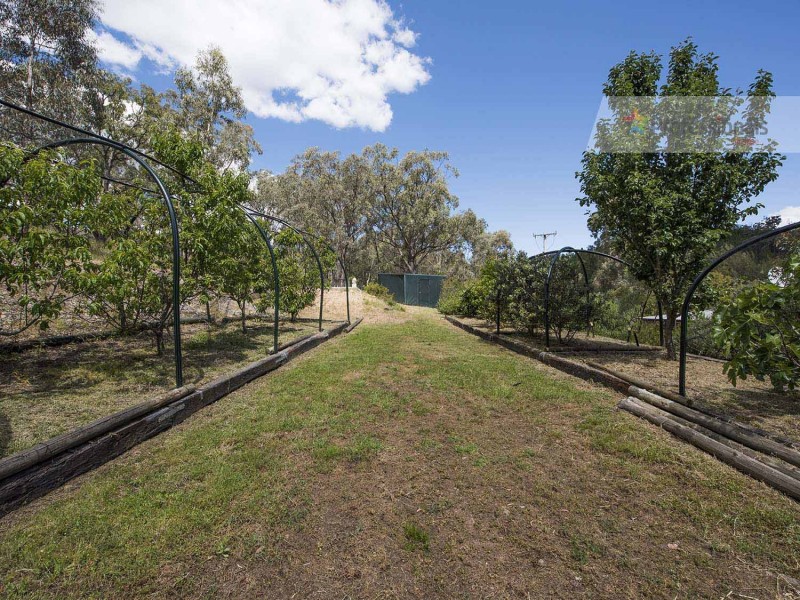 497 Riverlea Road, Mudgee NSW 2850