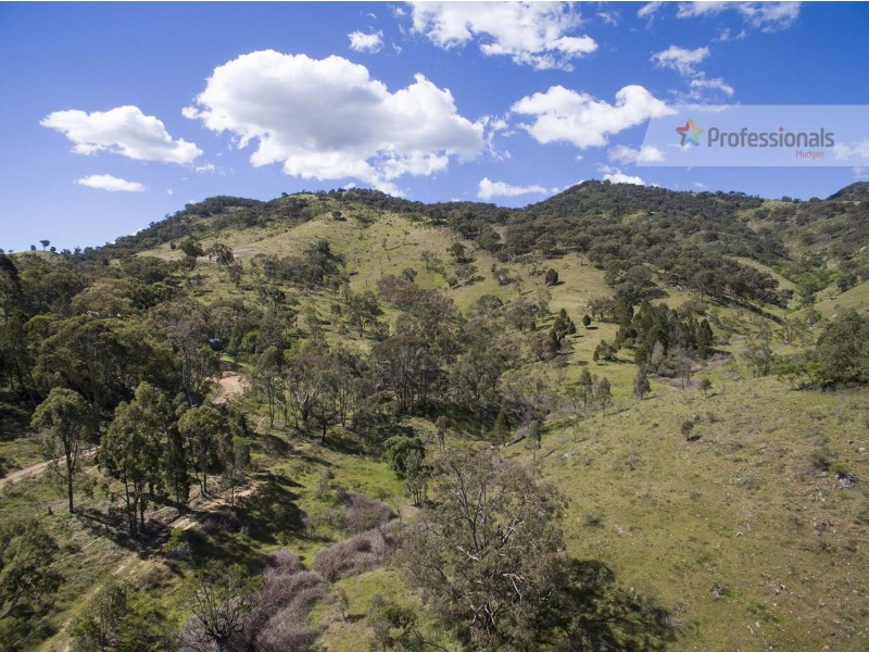 60 Peach Tree Lane, Mudgee NSW 2850