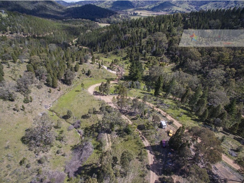 60 Peach Tree Lane, Mudgee NSW 2850