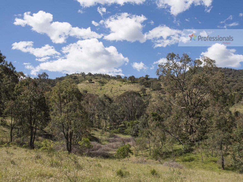 60 Peach Tree Lane, Mudgee NSW 2850