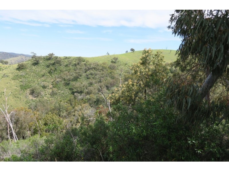 Mudgee NSW 2850
