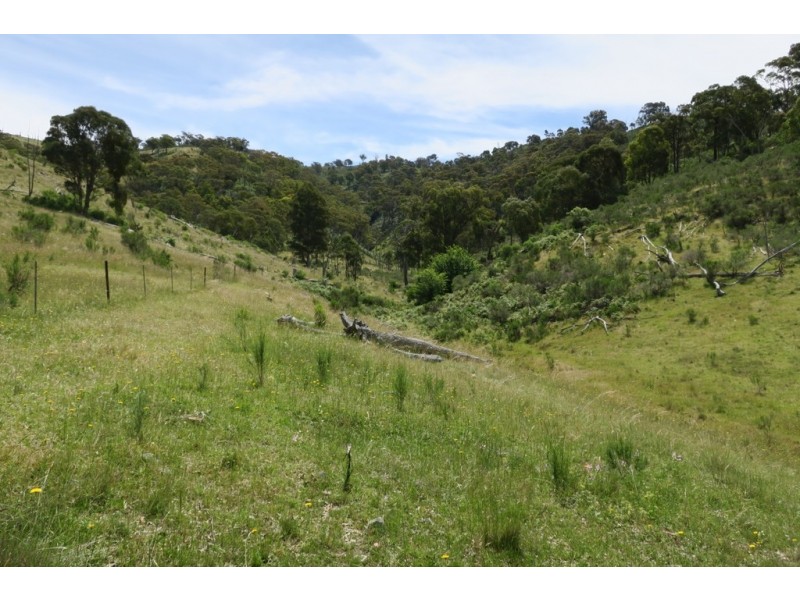 Mudgee NSW 2850