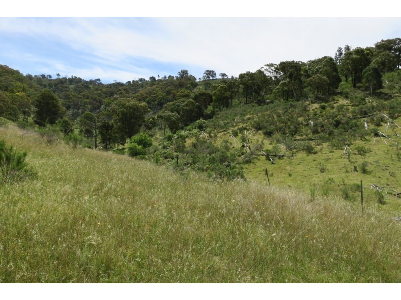 Mudgee NSW 2850
