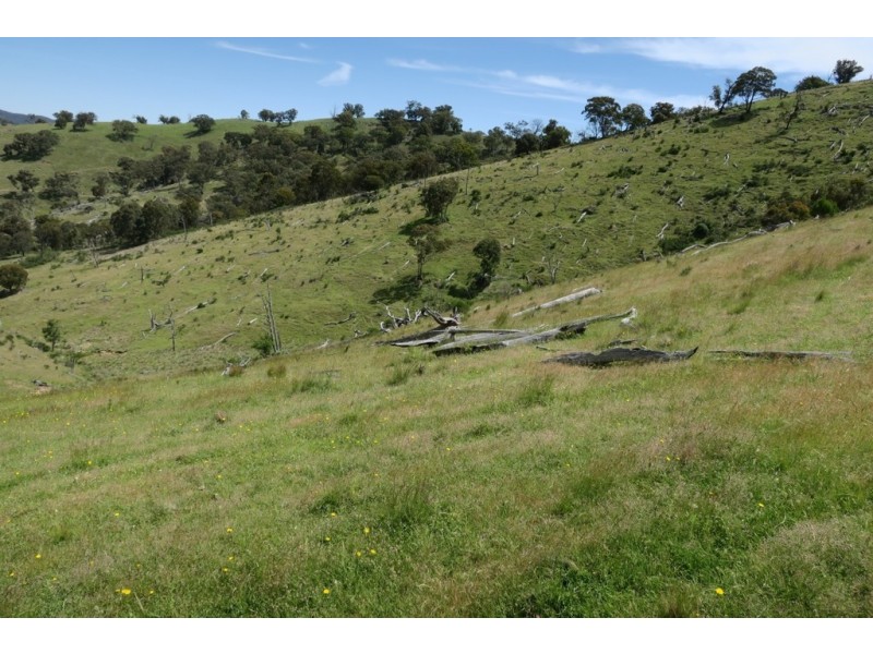 Mudgee NSW 2850