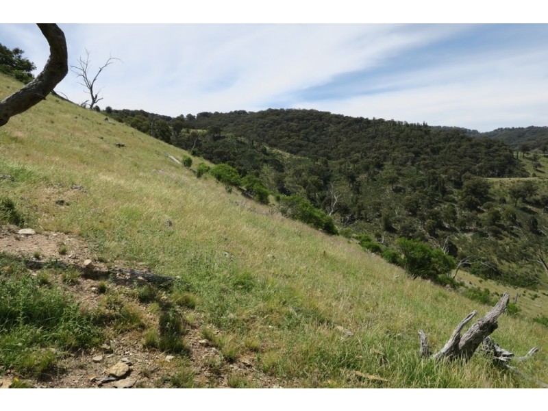 Mudgee NSW 2850