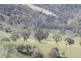 Mudgee NSW 2850