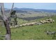 Mudgee NSW 2850