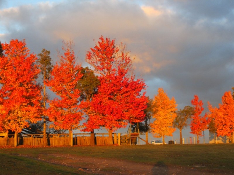 Mudgee NSW 2850