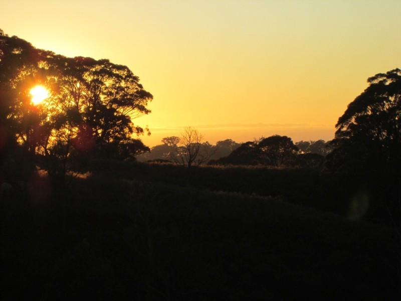 Mudgee NSW 2850