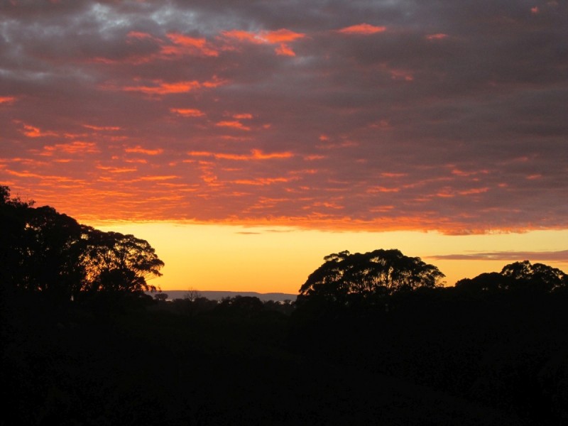 Mudgee NSW 2850