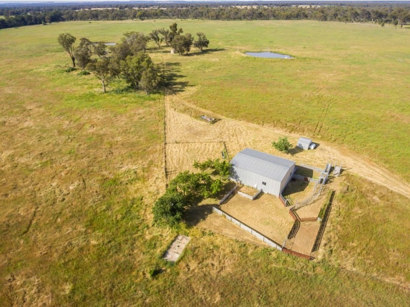 Mudgee NSW 2850