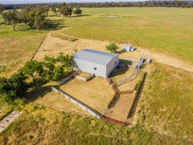 Mudgee NSW 2850