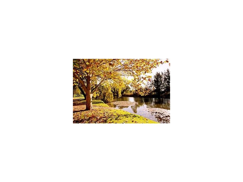 Lot 21 Loy Avenue, Mudgee NSW 2850
