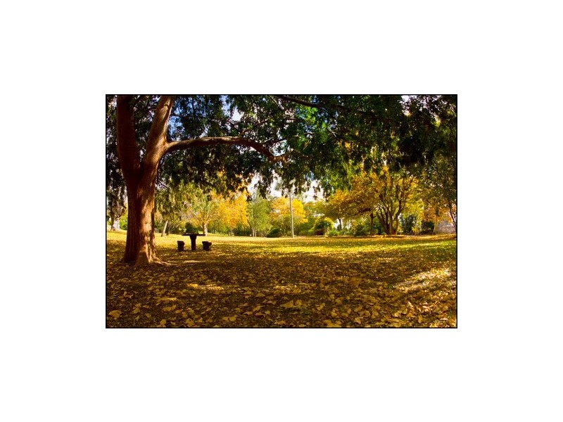Lot 21 Loy Avenue, Mudgee NSW 2850