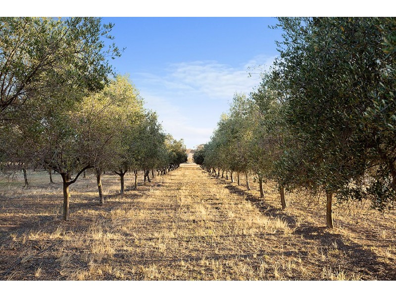 301 Stoney Creek Road, Mudgee NSW 2850