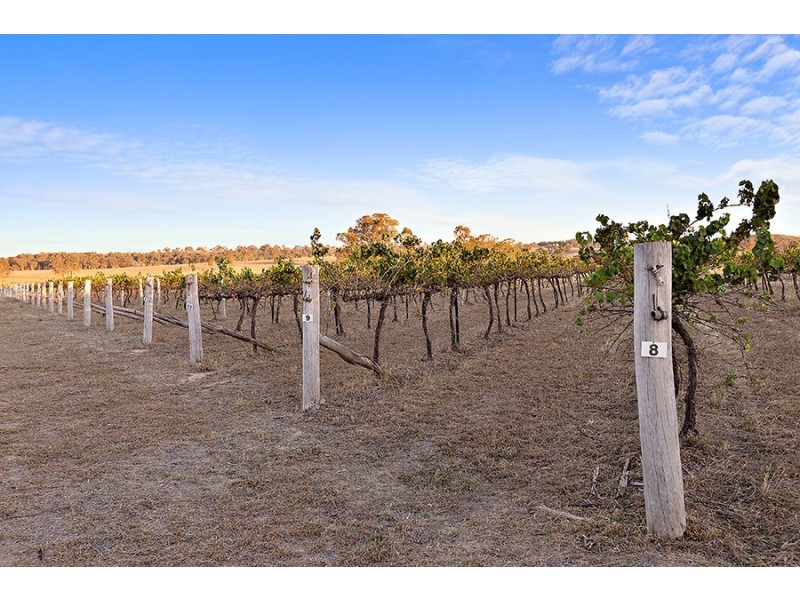 301 Stoney Creek Road, Mudgee NSW 2850
