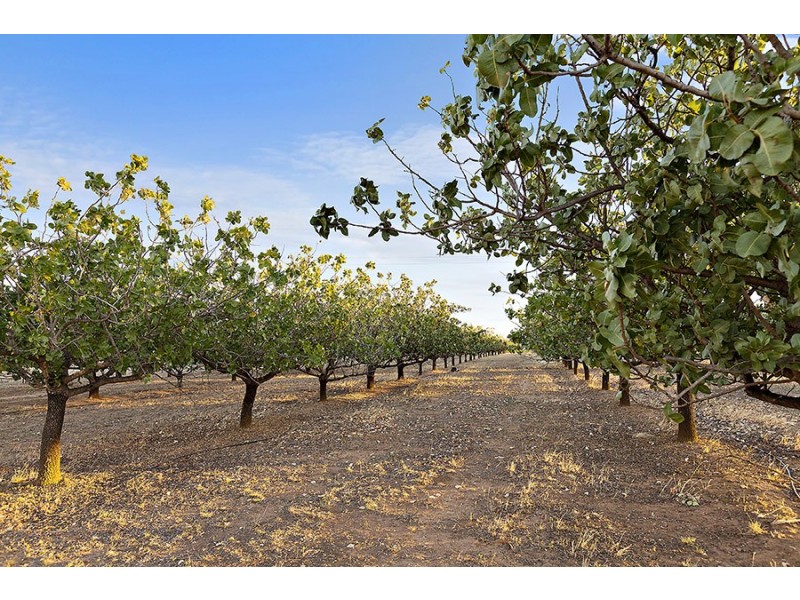 301 Stoney Creek Road, Mudgee NSW 2850