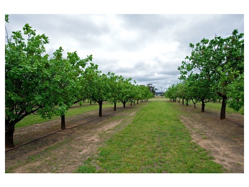 301 Stoney Creek Road, Mudgee NSW 2850