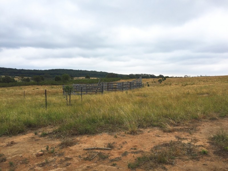 189 Montaza Road, Mudgee NSW 2850