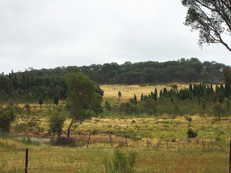 189 Montaza Road, Mudgee NSW 2850