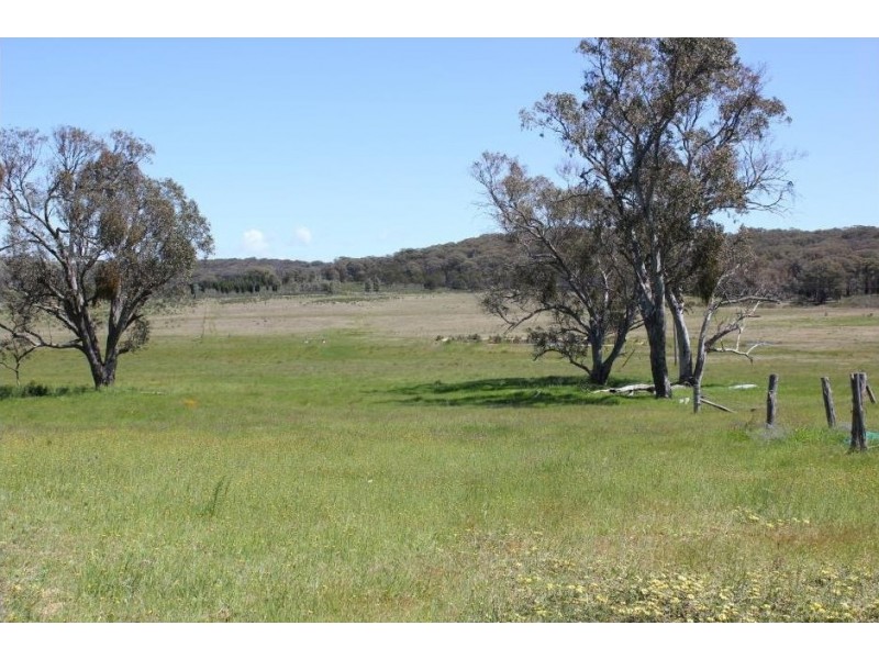 79 Montaza Road, Mudgee NSW 2850