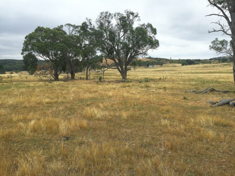 79 Montaza Road, Mudgee NSW 2850