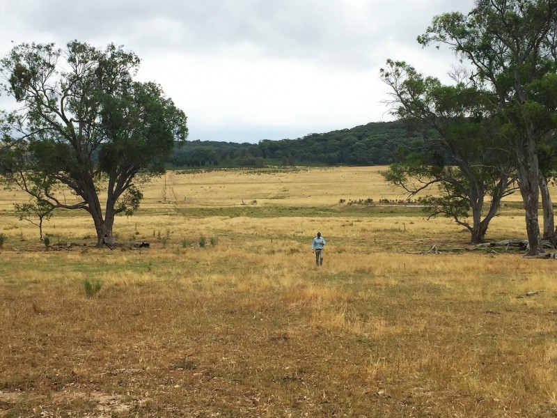 79 Montaza Road, Mudgee NSW 2850