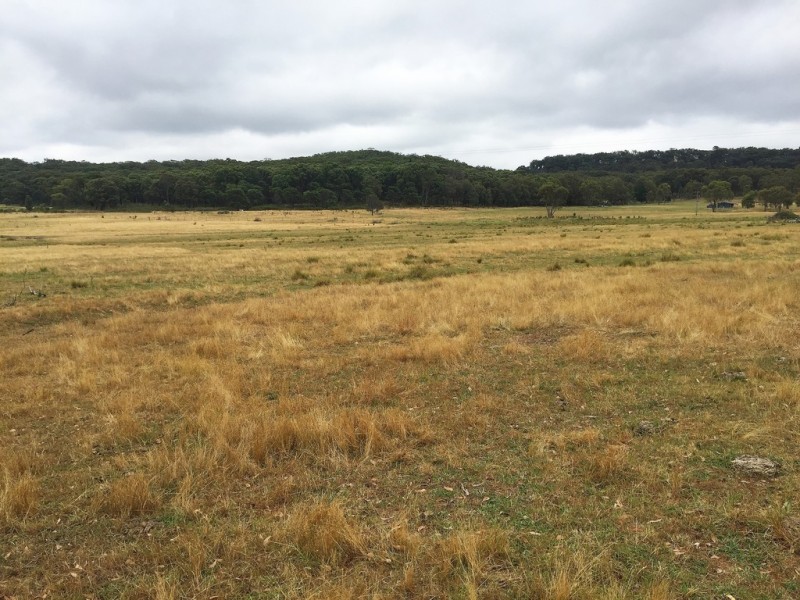 79 Montaza Road, Mudgee NSW 2850