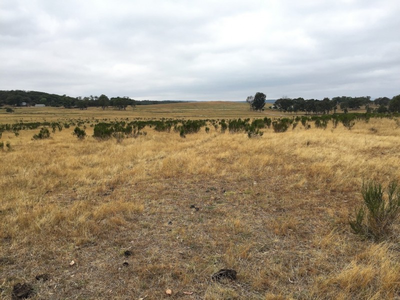 79 Montaza Road, Mudgee NSW 2850