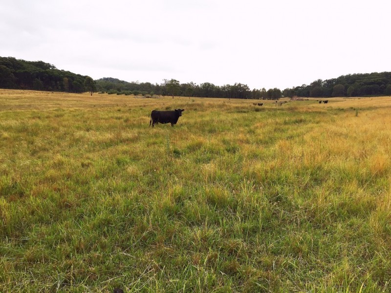 1732 Spring Ridge Road, Mudgee NSW 2850