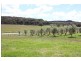 1732 Spring Ridge Road, Mudgee NSW 2850