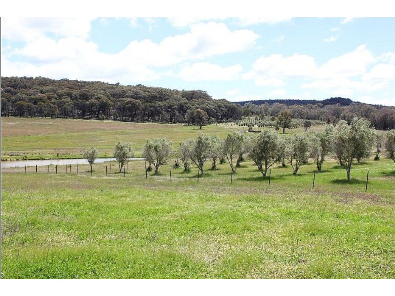 1732 Spring Ridge Road, Mudgee NSW 2850