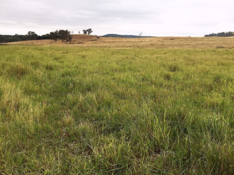 1732 Spring Ridge Road, Mudgee NSW 2850