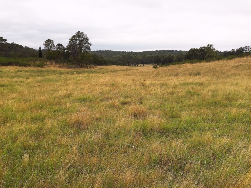 1732 Spring Ridge Road, Mudgee NSW 2850