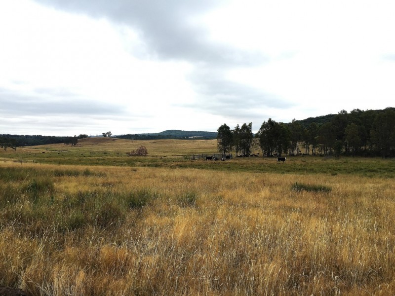 1732 Spring Ridge Road, Mudgee NSW 2850