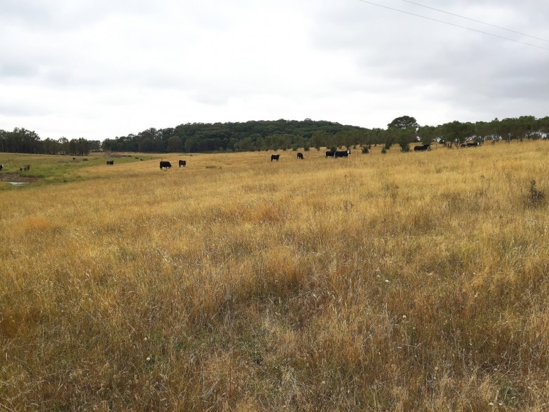 1732 Spring Ridge Road, Mudgee NSW 2850