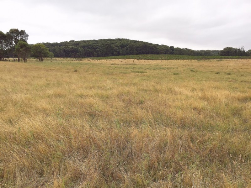 1732 Spring Ridge Road, Mudgee NSW 2850