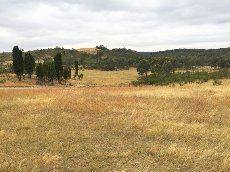 1732 Spring Ridge Road, Mudgee NSW 2850