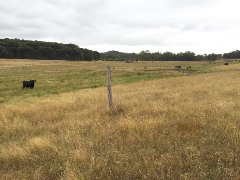 1732 Spring Ridge Road, Mudgee NSW 2850