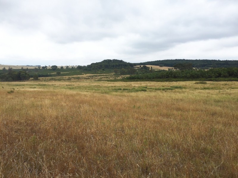 1732 Spring Ridge Road, Mudgee NSW 2850