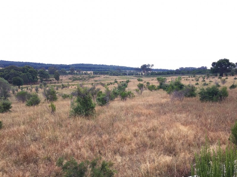 1732 Spring Ridge Road, Mudgee NSW 2850