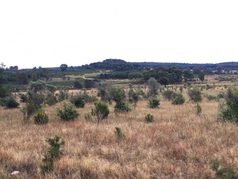 1732 Spring Ridge Road, Mudgee NSW 2850