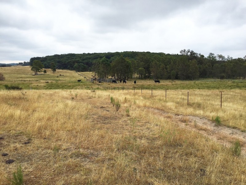 1732 Spring Ridge Road, Mudgee NSW 2850