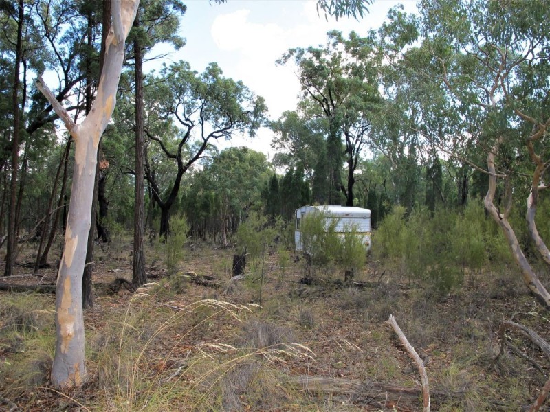 58 Pine Close, Mudgee NSW 2850