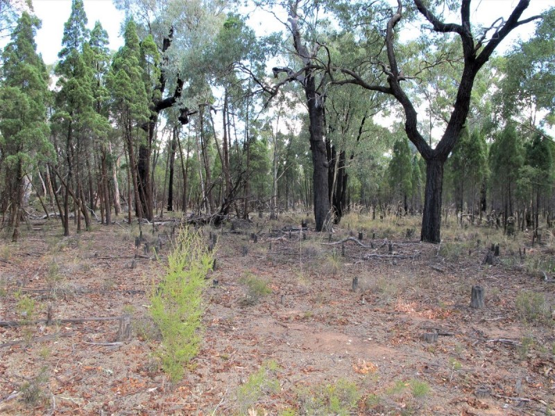 58 Pine Close, Mudgee NSW 2850