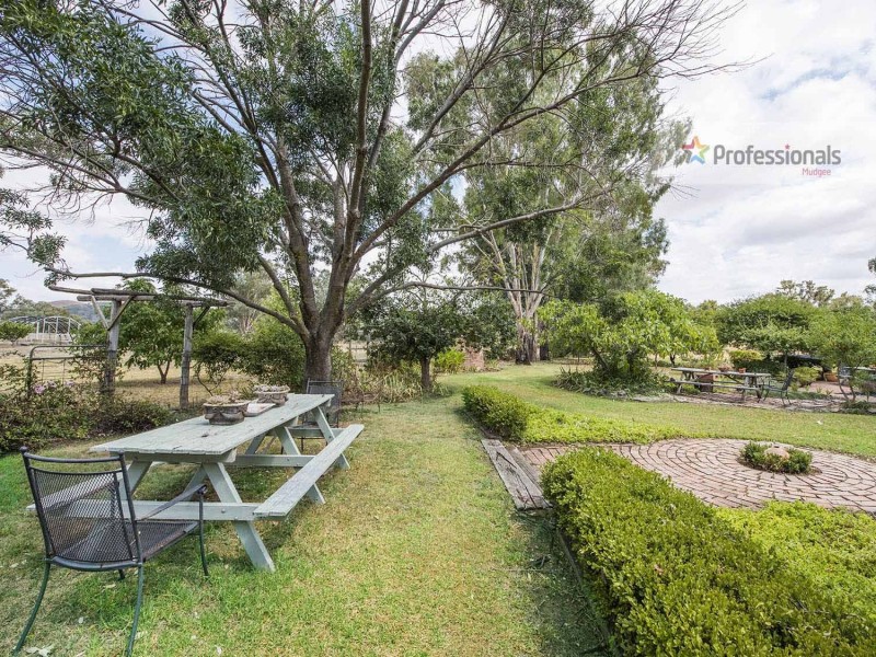 1239 Castlereagh Hwy, Mudgee NSW 2850