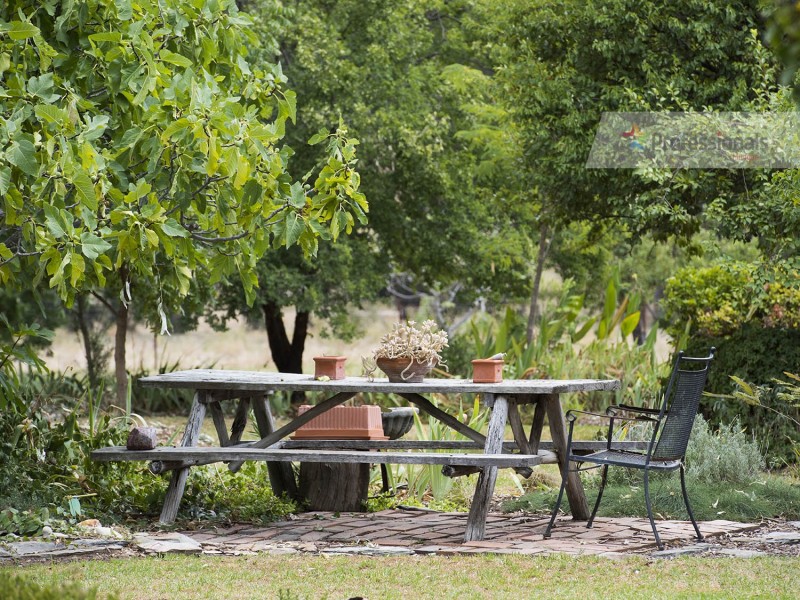 1239 Castlereagh Hwy, Mudgee NSW 2850