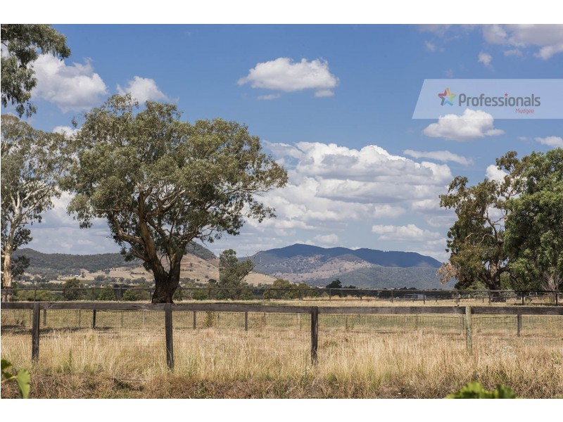 81 Mulgoa Way, Mudgee NSW 2850