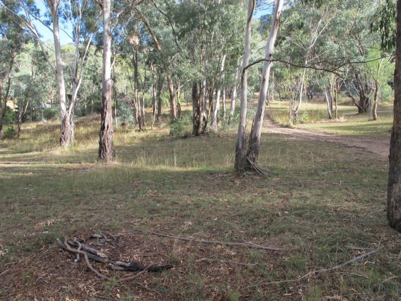 717 Maitland Bar Road, Mudgee NSW 2850